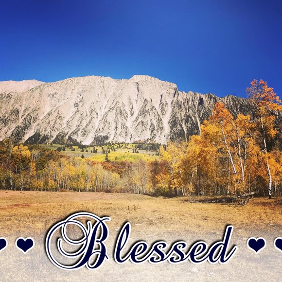 Meet your Posher, Brenda - Picture 1 of 1